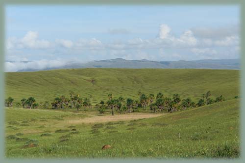 Venezuela - Gran Sabana