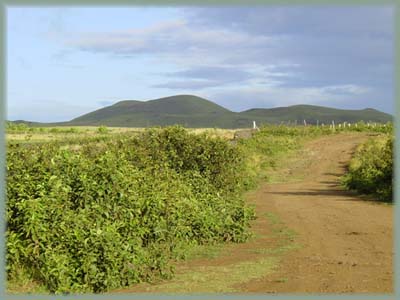 Isla de Pascuas