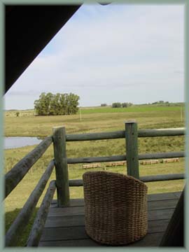 Estancia - Uruguay