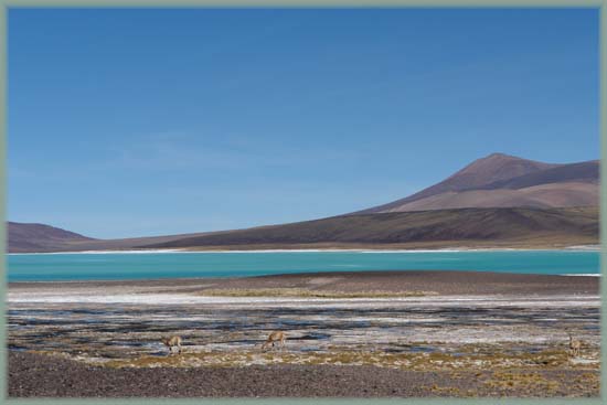 Argentina - Laguna Brava