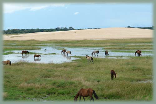 Venezuela - Llanos