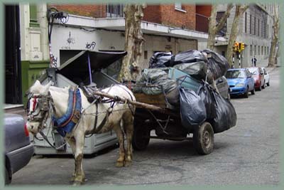 Montevideo - Uruguay