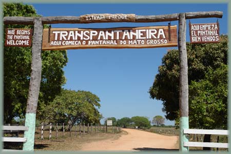 Brésil Pantanal - Amazonie