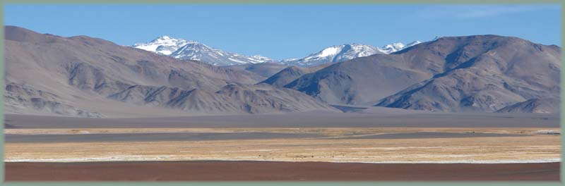 Argentine - Altiplano