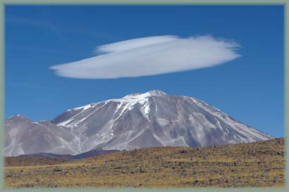 Argentine - Altiplano