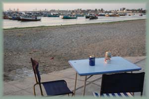 Pérou, Port de pêche de Paracas