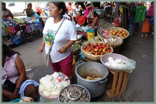 Pérou, Amazonie