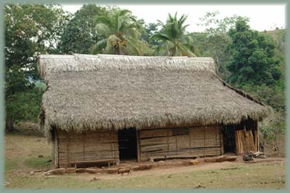 Pérou, Amazonie