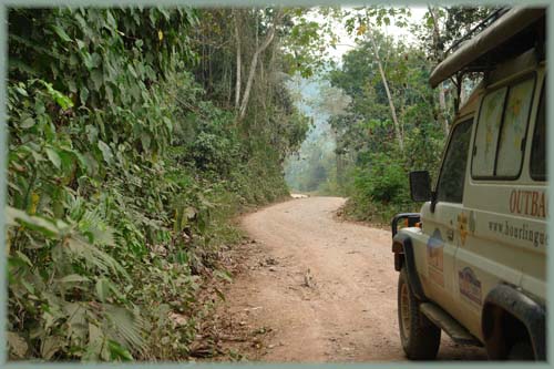 Pérou, Amazonie