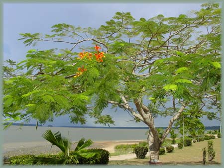 St Laurant du Maroni - Guyane française