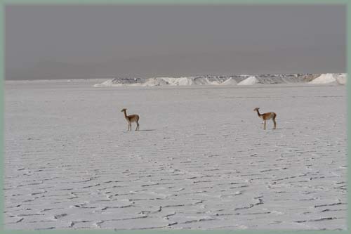 Argentine - Salinas Grandes