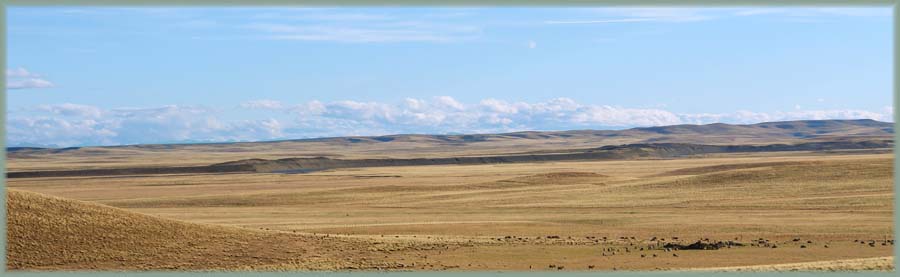 Terre de Feu - Argentine