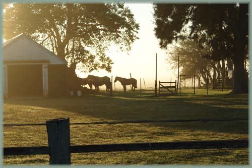 Estancia - Uruguay