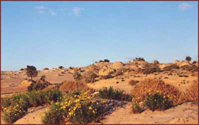 Mungo National Park