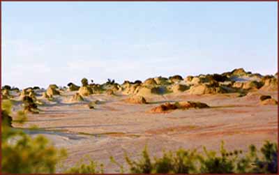 Mungo National Park