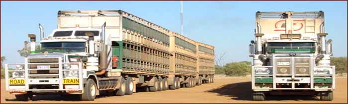 Road Train