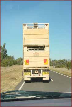 Road Train