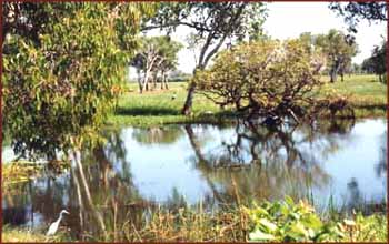 Kakadu NP