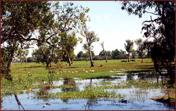 Kakadu NP