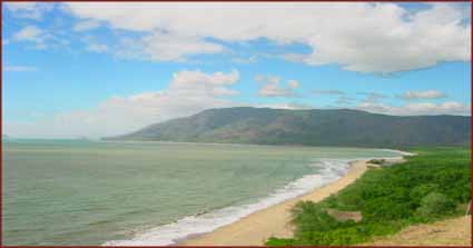 Cape Tribulation