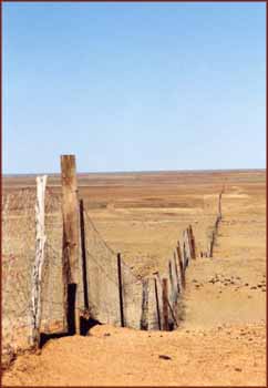 dog fence