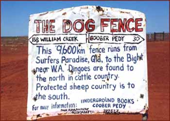 dog fence