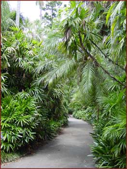 Royal Botanic Garden