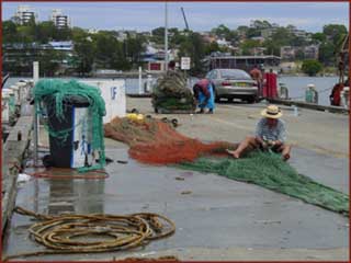 Fish Market