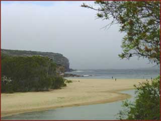 Royal National Park