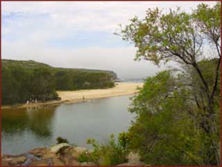 Royal National Park