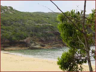 Royal National Park