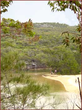 Royal National Park