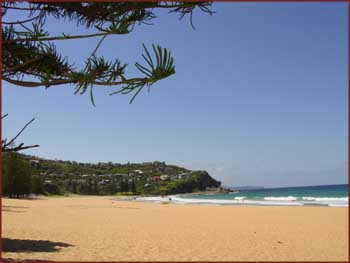 Whales Beach