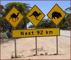 Eyre Highway