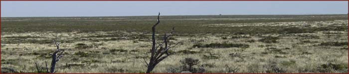 vue de la Eyre Highway