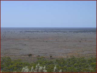 Eyre Highway