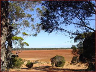 bivouac Eyre Highway