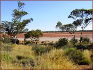 bivouac Eyre Highway