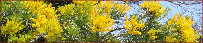 Cape Arid National Park