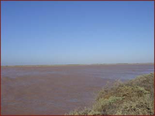 Gascoyne River