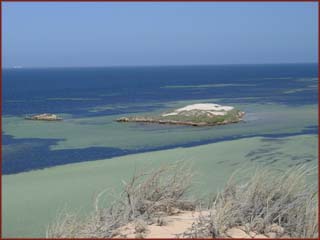 Shark Bay