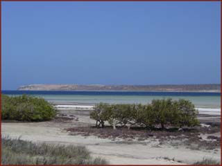 Shark Bay