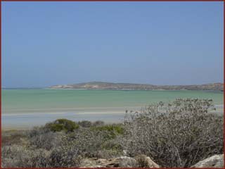 Shark Bay