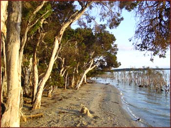 Stokes Inlet NP