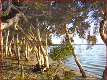 Stokes Inlet NP