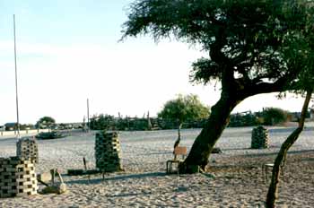 Arbre aux palabres