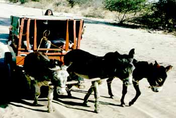 Transport local au Bostwana