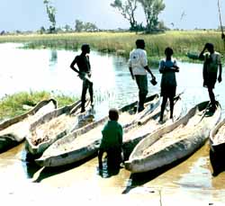 l'Okavango, les mokoros