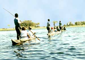 Les mokoros sur le delta de l'Okavango