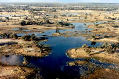 Delta de l'Okavango